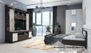 Модульная система Фиеста, вариант 4
