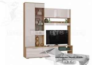 Флай секция центральная ЦС-01