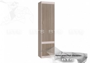 Шкаф закрытый Паскаль
