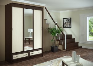Шкаф-купе Ронда ШККР 1500.1, венге
