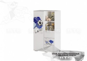 Шкаф Трио  ШК-10, король спорта